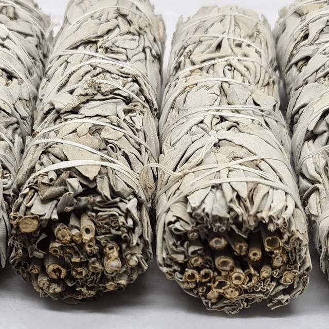 WHITE SAGE - 15cm