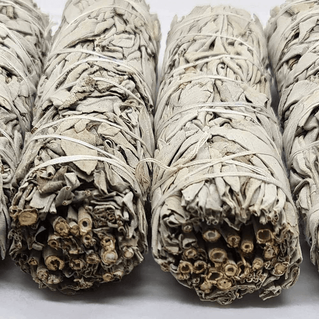 WHITE SAGE - 15cm